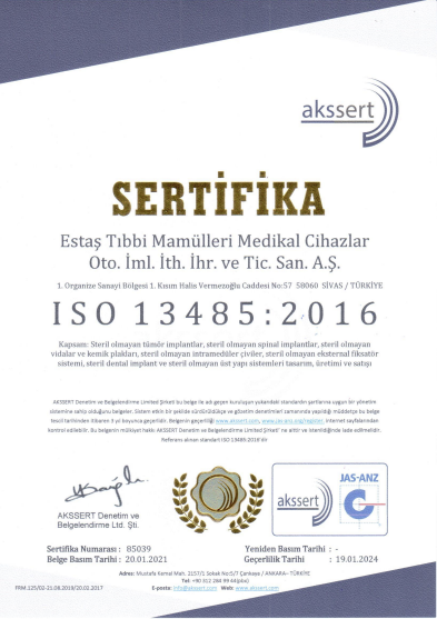 ISO 13485 TR
